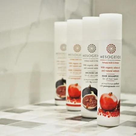 Apartahotel Efrosini & Paralia Panteleimonos