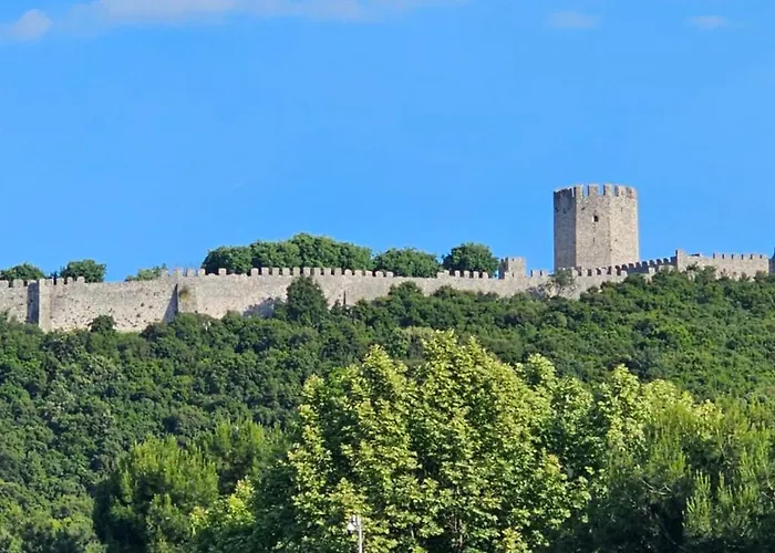 Efrosini & 帕拉利亚潘塔利莫诺斯