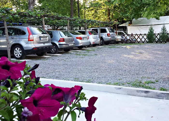 公寓式酒店 Efrosini & 帕拉利亚潘塔利莫诺斯