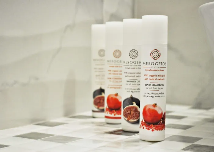 公寓式酒店 Efrosini & 帕拉利亚潘塔利莫诺斯