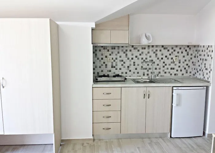 公寓式酒店 Efrosini & 帕拉利亚潘塔利莫诺斯